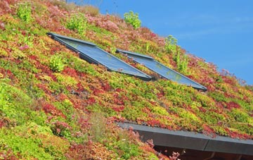 Llanbradach living roof systems